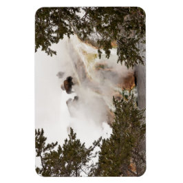 Íman Steamy Bison no Parque Nacional de Yellowstone