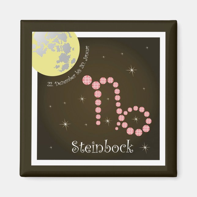 Íman Steinbock 22. Bis 20 de dezembro. Magnet de Januar (Frente)