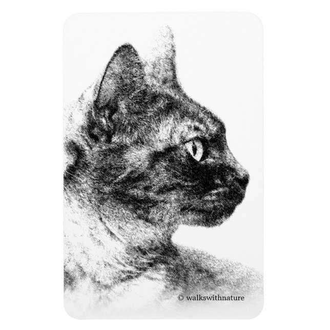 Íman Stella, o Gato da Cinza (Vertical)