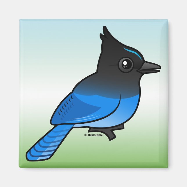 Íman Steller's Jay (Frente)