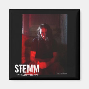 Íman STEMM: Ímã de Steve