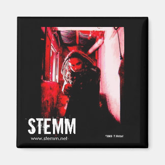 Íman STEMM: Joe MAGNET