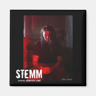 Íman STEMM: Steve Magnet