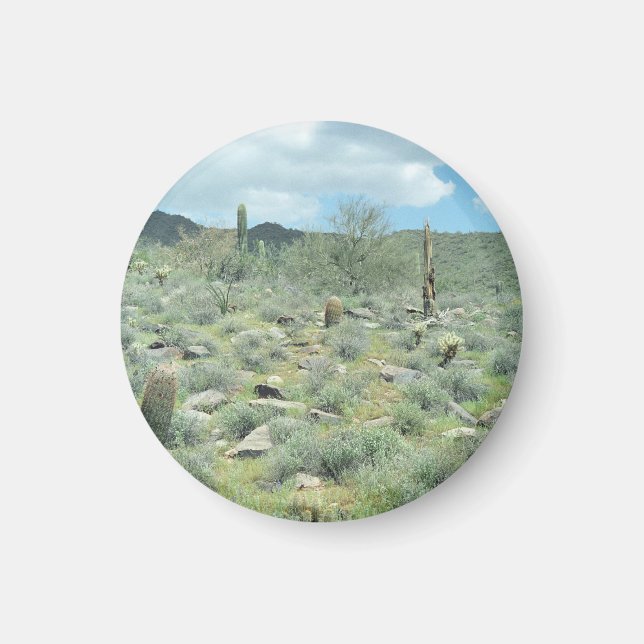Íman Stepones Decorative Refrigerator Magnet (Frente)