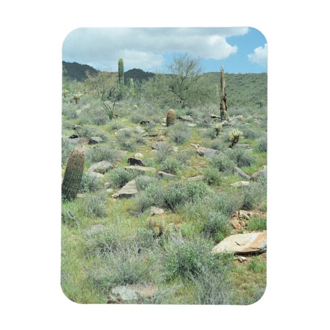 Íman Stepones Decorative Western Desert Magnet (Vertical)