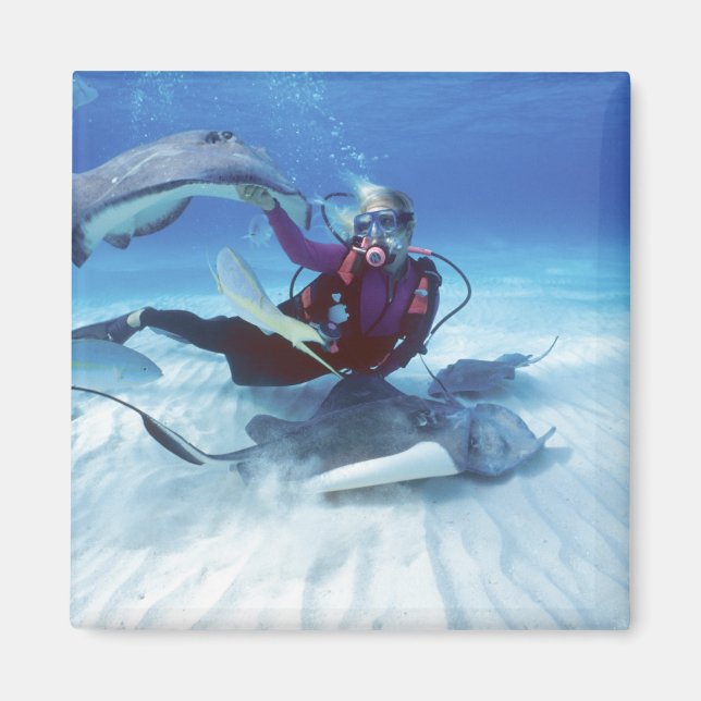 Íman Stingray City, Grand Cayman, Ilhas Cayman, (Frente)