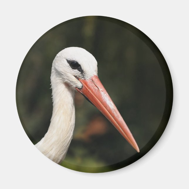 Íman Stork - símbolo de Estrasburgo e Alsace, França (Frente)