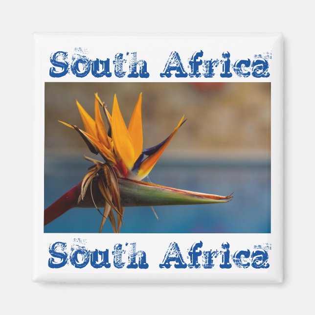 Íman Strelitzia Flower África do Sul Magnet (Frente)