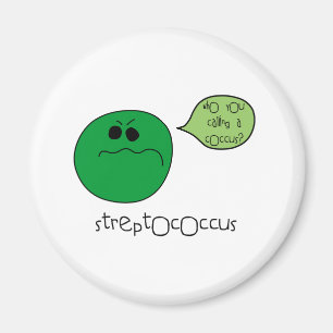 Íman Streptococcus