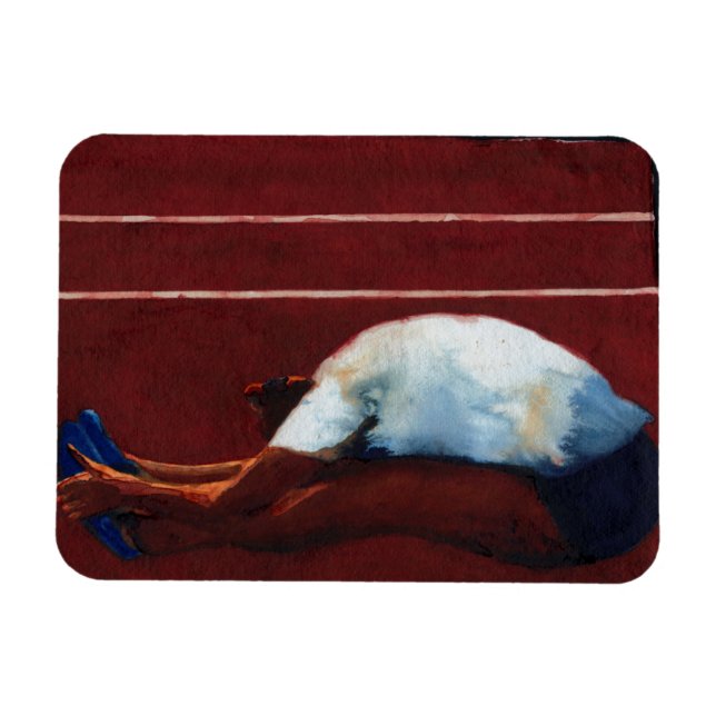 Íman Stretch 2011 (Horizontal)