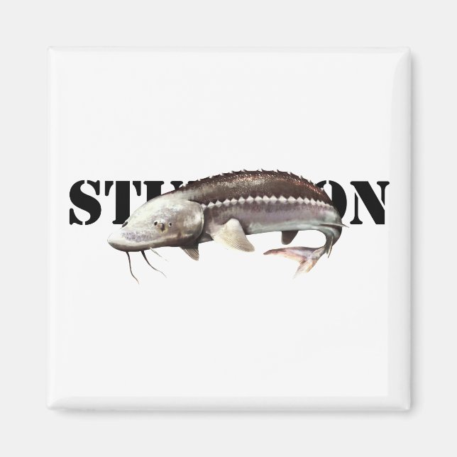 Íman Sturgeon (Frente)