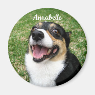 Íman Sua Foto Personalizada De Pet Adicione Seu Cachorr