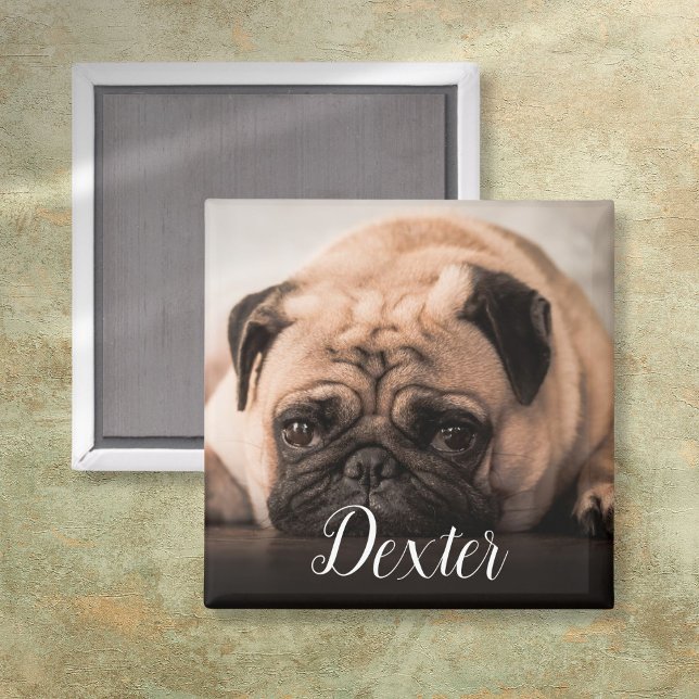Íman Sua Foto Pet Favorita (Personalized Dog Cat Pet Photo Script Name Magnet)