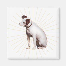 Íman Sua Voz Mestra Brilhando