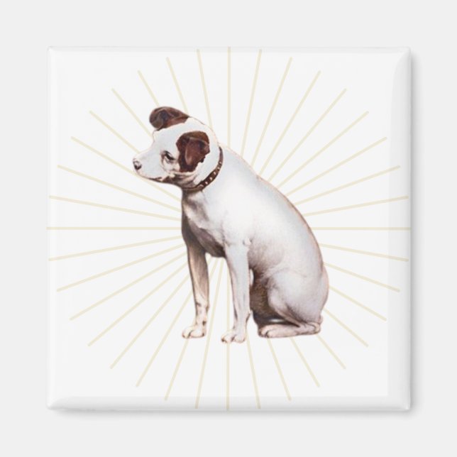 Íman Sua Voz Mestra Brilhando (Frente)