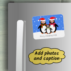 Íman Suas fotos no inverno dos pinguins