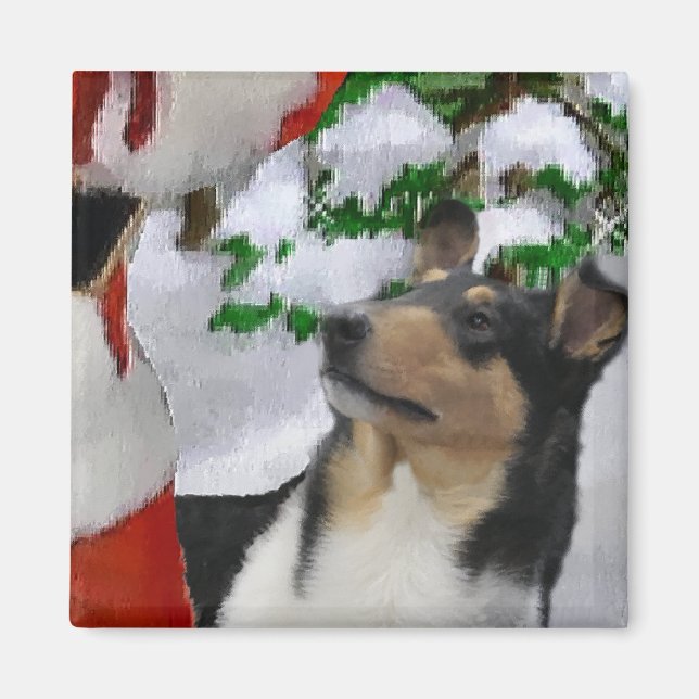 Íman Suave presentes de Natal Collie (Frente)