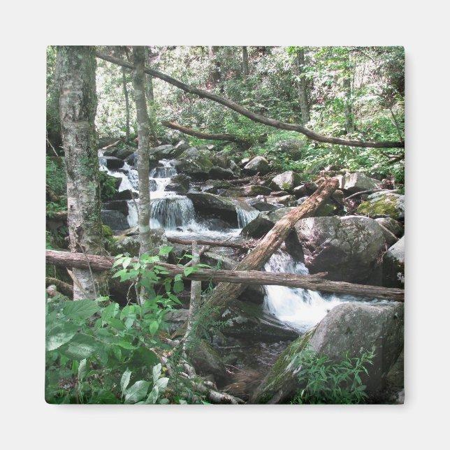 Íman Subrio (Frente)