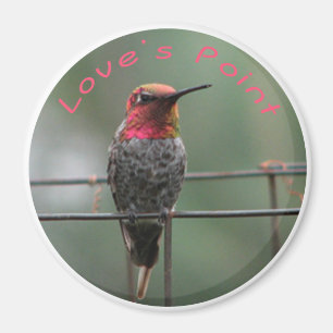 Íman Subtítulo do ponto do amor do ímã do colibri