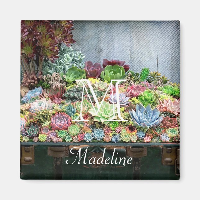 Íman Sucultivos no tesouro (Frente)