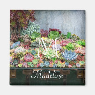 Íman Sucultivos no Treasure Chest