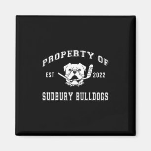 Íman Sudbury Bulldog Divertido 2