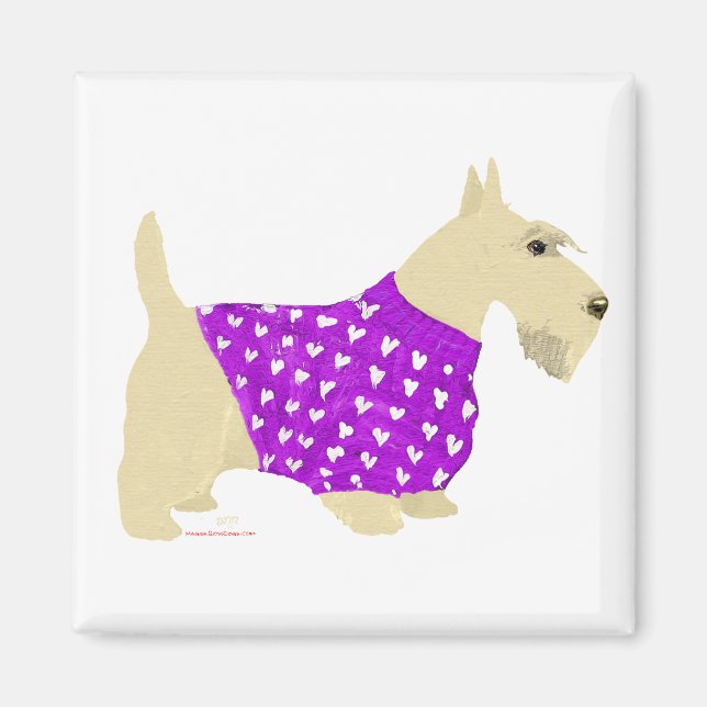 Íman Suéter de Scottish Terrier Trigo (Frente)