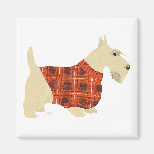 Íman Suéter de Scottish Terrier Trigo (Frente)