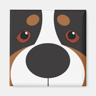 ÍMAN SUÍÇA FACE MAGNET