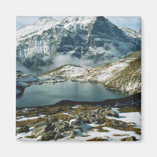 Íman Suiça, Grindelwald, Alpes Berneses, Ver