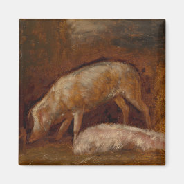 Íman Suínos numa Arte Animal Estável