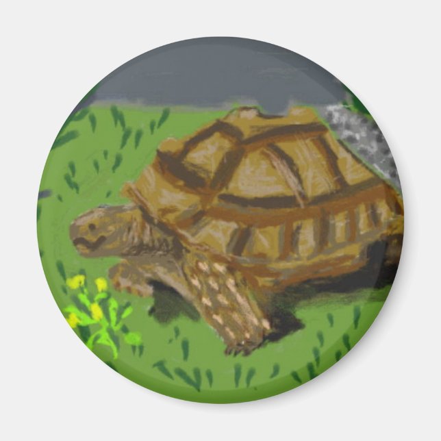 Íman Sulcata Tortoise (Frente)