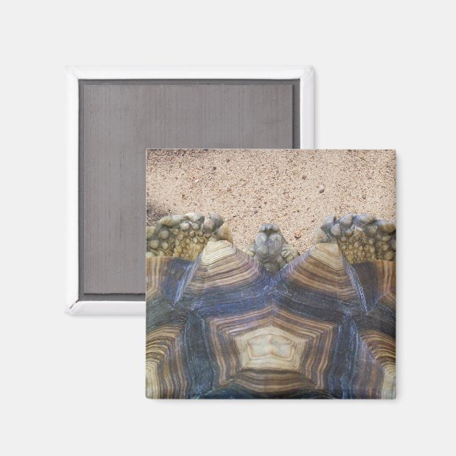 Íman Sulcata Tortoise e Sand (Front/Back)