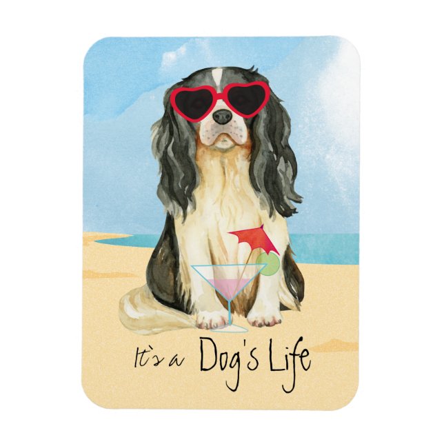 Íman Summer Cavalier (Vertical)