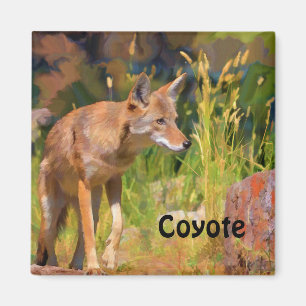 Íman Summer Coyote Wildlife Painting