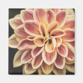 Íman Summer Dahlia Flower (Arte Floral)