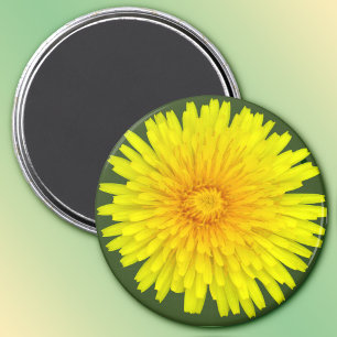Íman Summer Dandelion Magnet