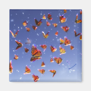 Íman Summer Fantasia — Magneta flexível