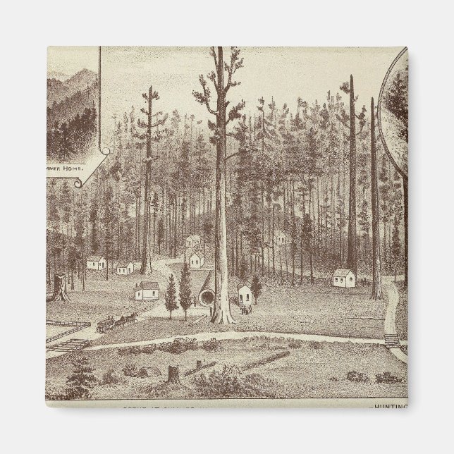 Íman Summer Home, residência de Lewis (Frente)