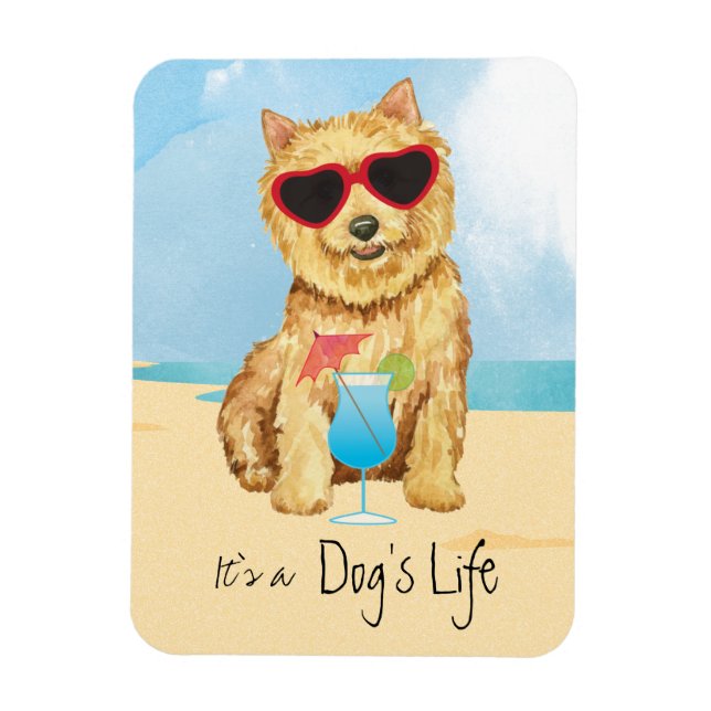 Íman Summer Norwich Terrier Magnet (Vertical)