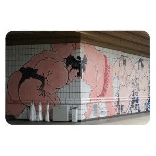 Íman Sumo Mural Wall Art