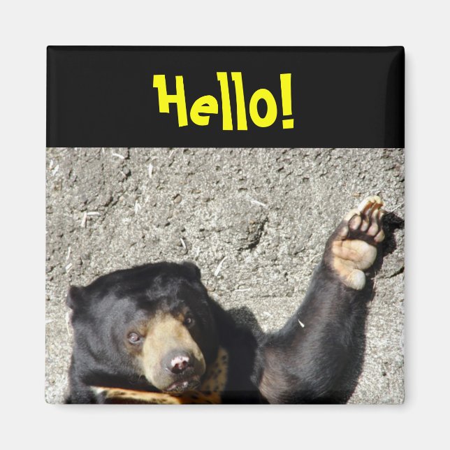 Íman Sun Bear Hello Magnet (Frente)