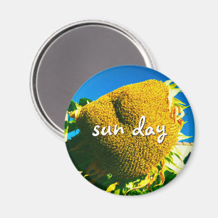 Íman Sun Day Cote Script Amarelo Sunflower Photo