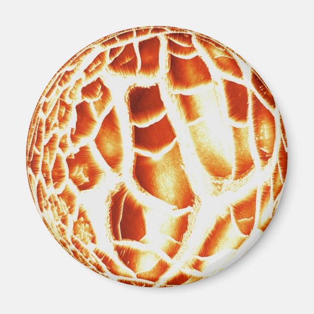 Íman Sun Photo Magnet (Frente)