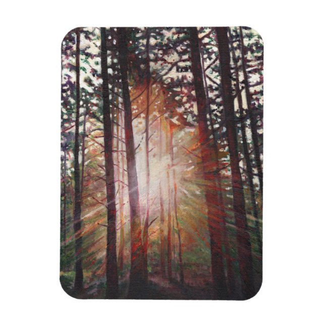 Íman Sunburst 2010 (Vertical)