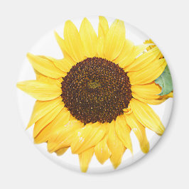Íman SunFlower