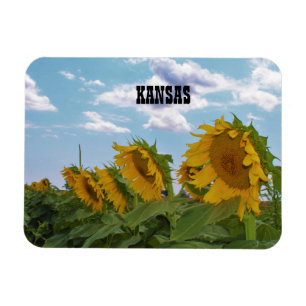 Íman Sunflower Kansas
