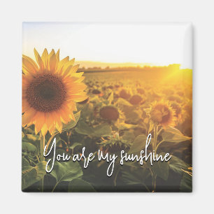 Íman Sunflower Sunshine