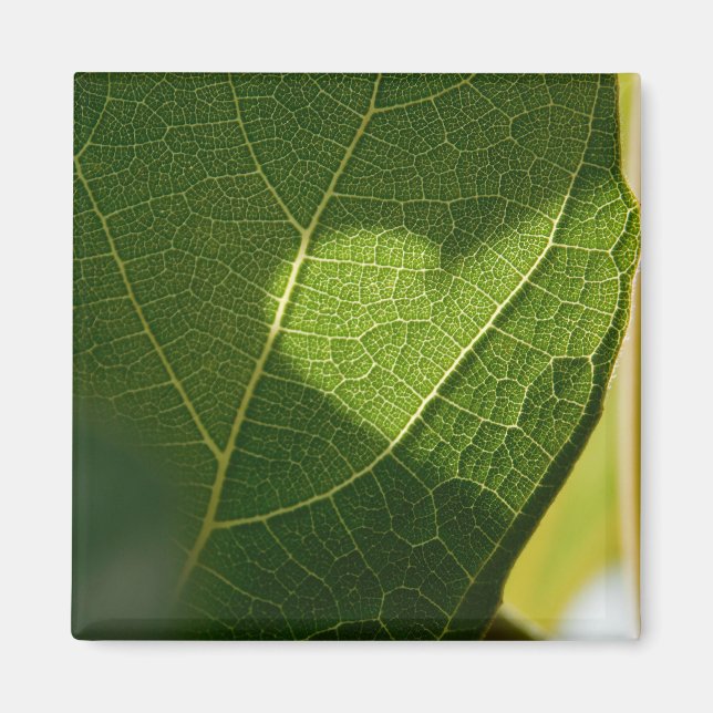 Íman Sunlit Leaf Heart Magnet (Frente)