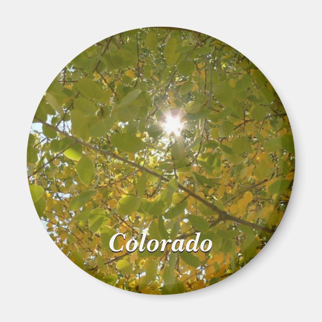 Íman Sunny Aspen (Frente)